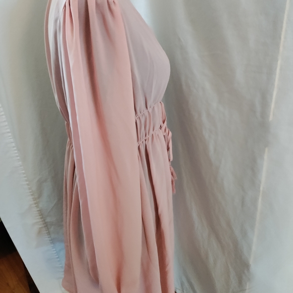 Elegant Pink Sheer Robe - Picture 4 of 5